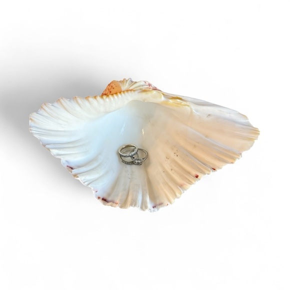 Vintage Large Bear Paw Clam Shell - Picture 11 of 12